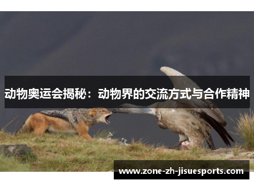 动物奥运会揭秘:动物界的交流方式与合作精神 动物奥运会揭秘:动物界的交流方式与合作精神